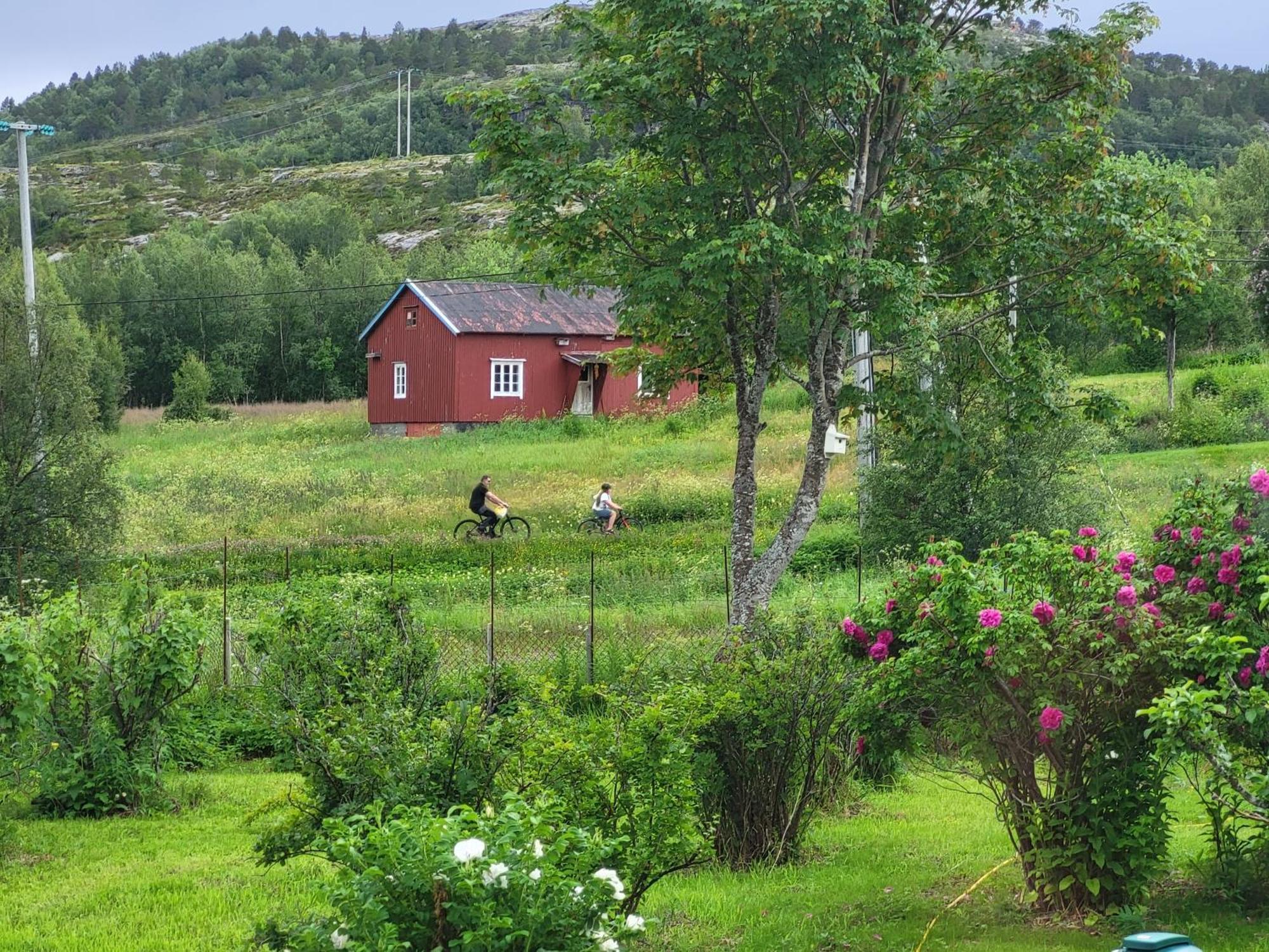 Paul'S House Villa Saltstraumen Buitenkant foto